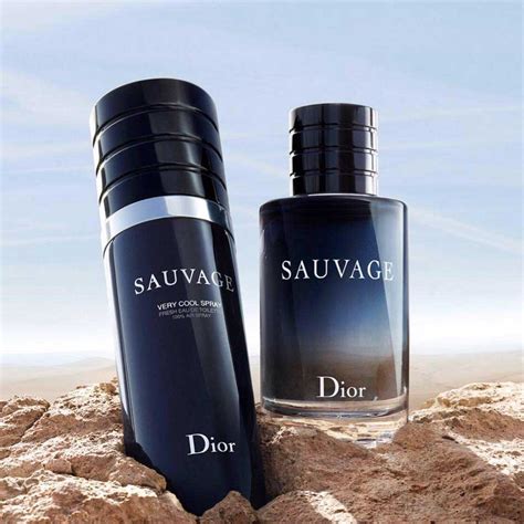 dior men spray|sauvage very cool spray dior.